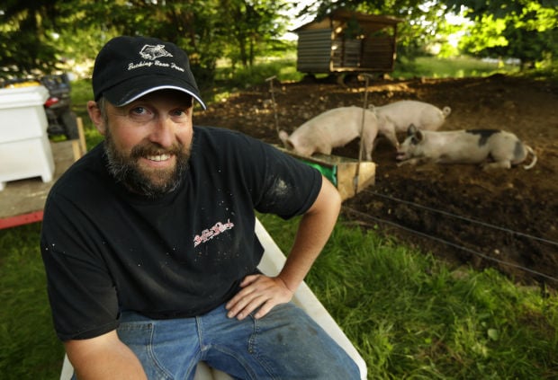 Venden carne de cerdo marihuano enWashington
